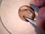 Step 6