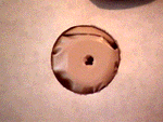Step 6