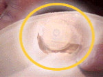 Step 9